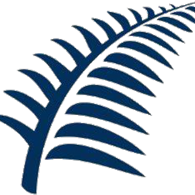 Silver Fern - Silver Fern Png (400x400)