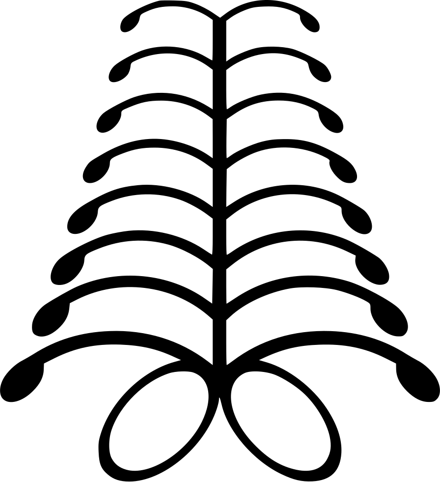 Aya Defiance Fern Comments - Line Art (896x981)