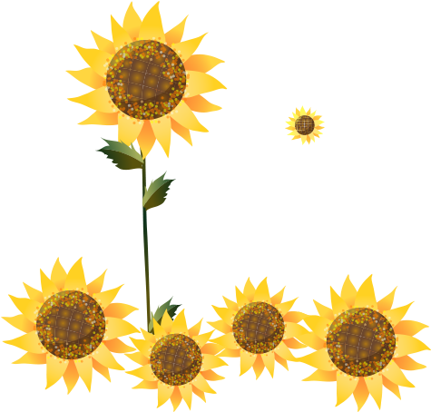 Common Sunflower Cartoon Illustration - 向日葵 卡通 (600x600)