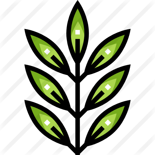 Fern - Fern (512x512)