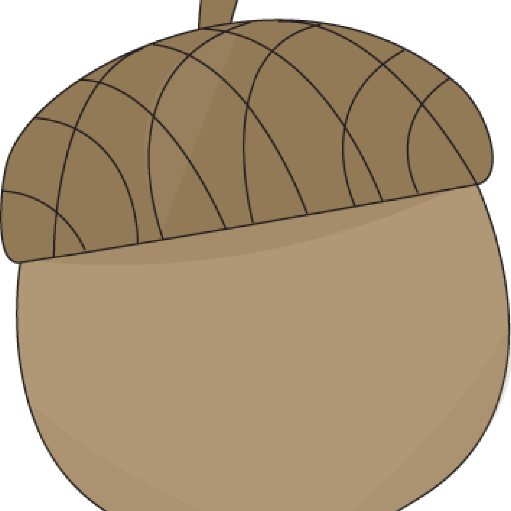 Acorn Clipart Brown Acorn Clip Art Brown Acorn Image - Clip Art (1024x1024)