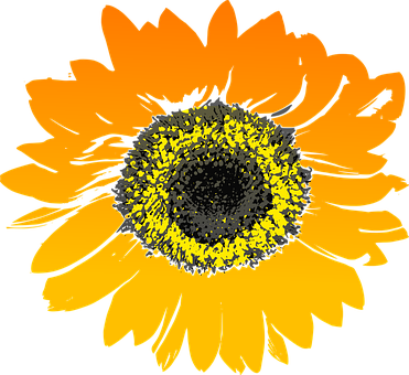Related Clip Arts - Sun Flower Phone Case - Iphone 6/6s (371x340)