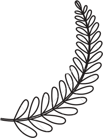 Wreath Leaves Ornament Vector - Leaf Ornament Vector Png (550x550)