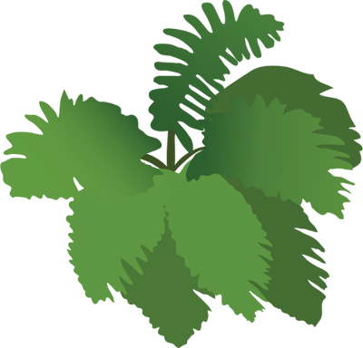 Normal Ian Symbol Fern - Illustration (400x384)