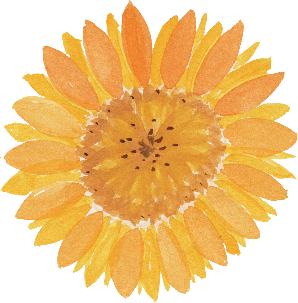 Free Download - Watercolor Sunflower Transparent (962x977)