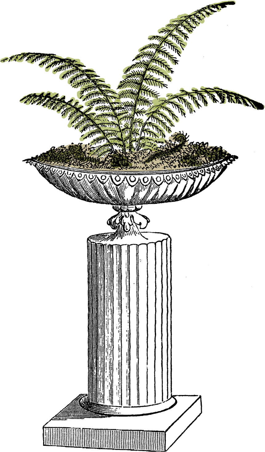 I Created This Digital Fern Download From A Vintage - Clip Art (1006x1600)