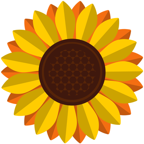Isolated Sunflower Head Clipart Transparent Png - Sunflower Clipart Png (512x512)