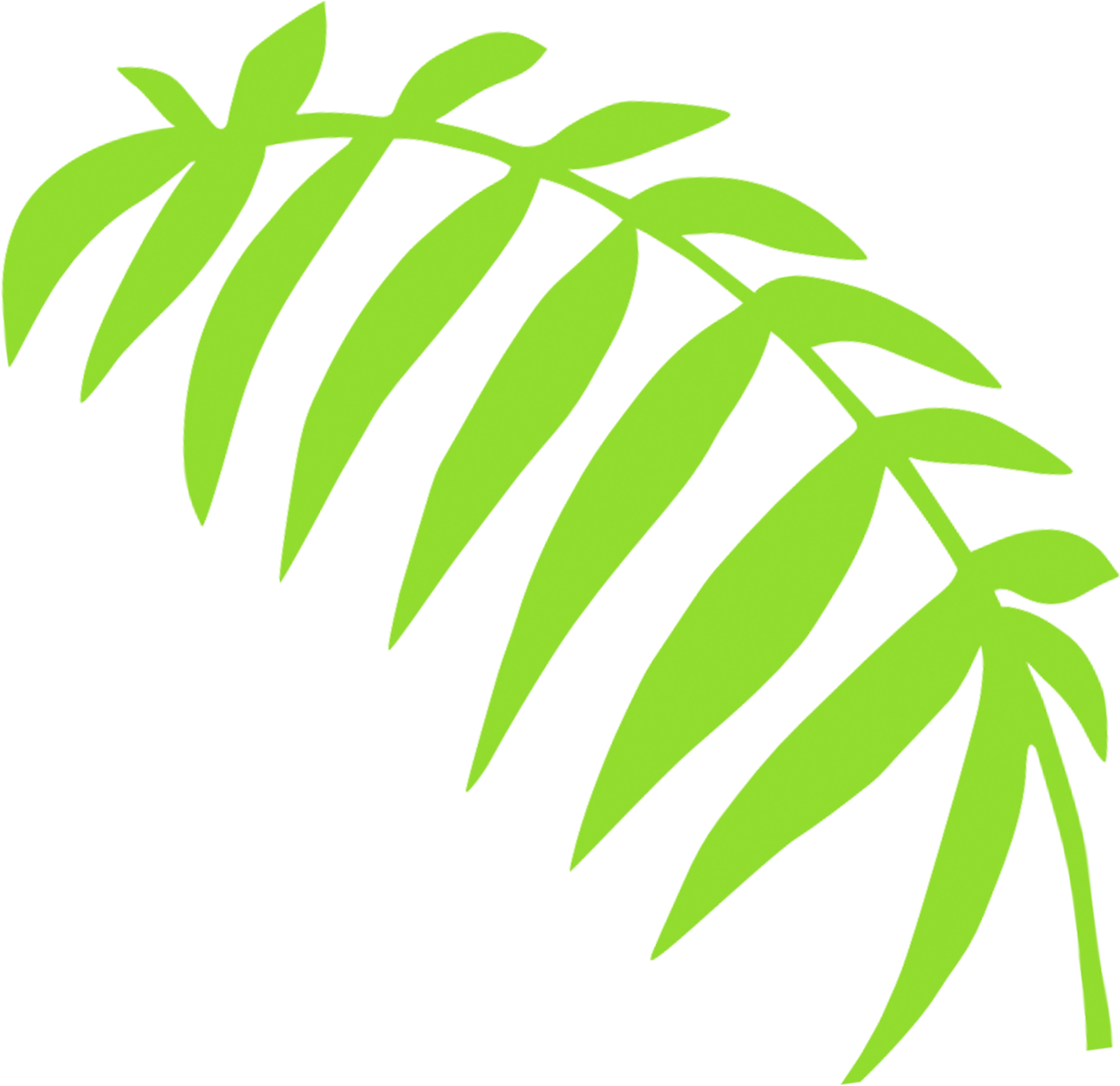 Green Fern Frond - Green Fern Frond (2489x2414)