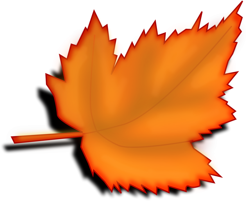 Leafs Cartoon Clip Art - Leaf Clipart No Background (958x748)