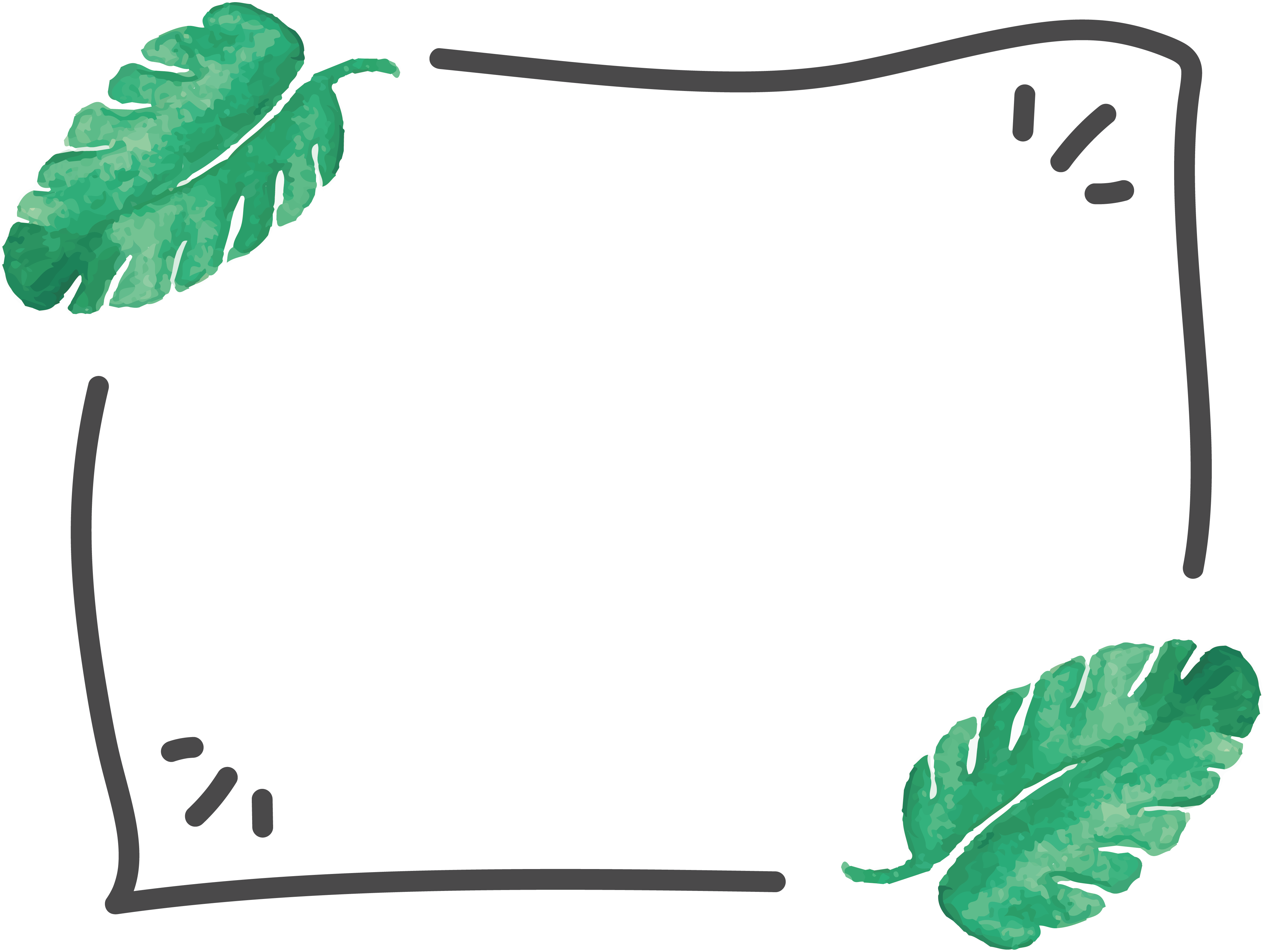 Leaf Euclidean Vector Plant Paper - Cactus Budget Planner (4093x3087)