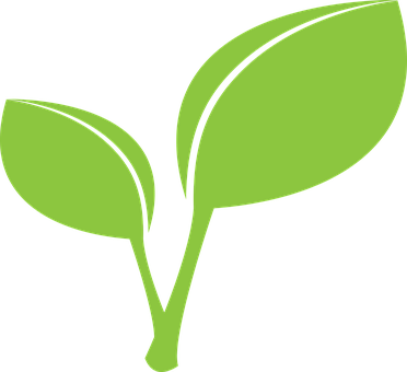 Green Leaf Leaves Leaf Leaf Leaf Leaf Leaf - Green Leaf Clip Art (372x340)