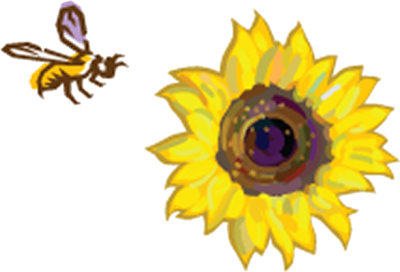 Great Sunflower Project - Great Sunflower Project (833x548)