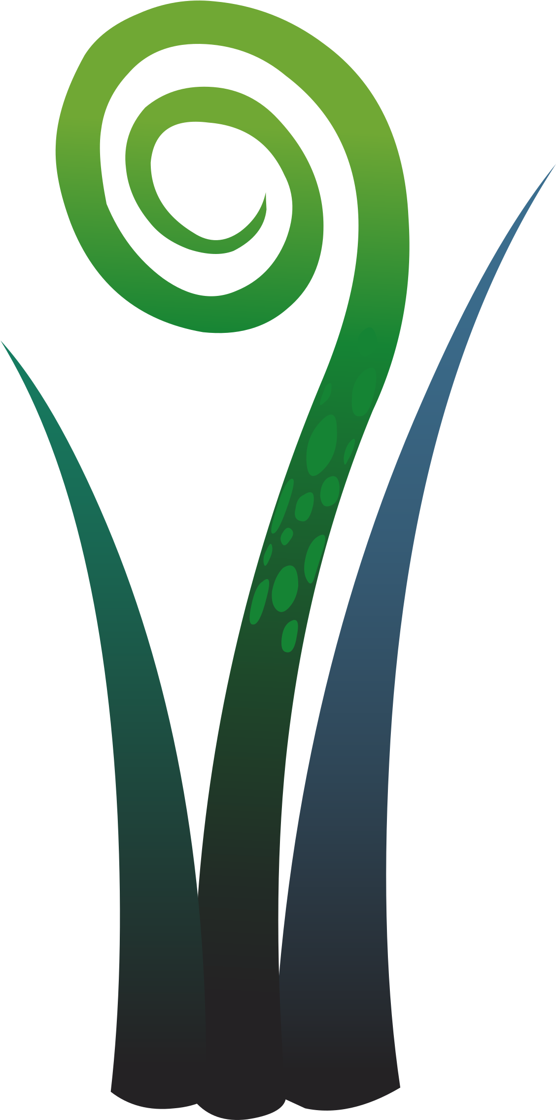 Plant Fern 3 - Fern (1127x2400)
