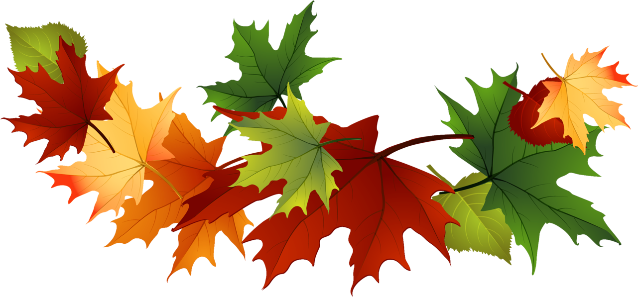 Maple Majestic
