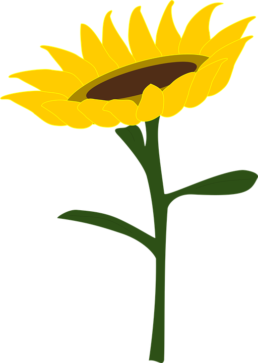 Country Sunflower Cliparts - Gambar Bunga Matahari Vektor (910x1280)