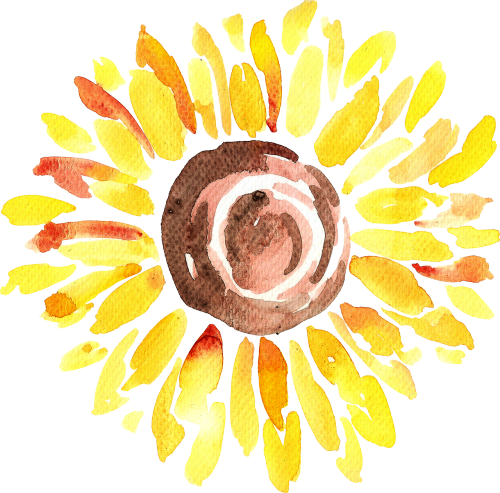 Kaylemain-sunflower - Chenara Dodge (500x493)