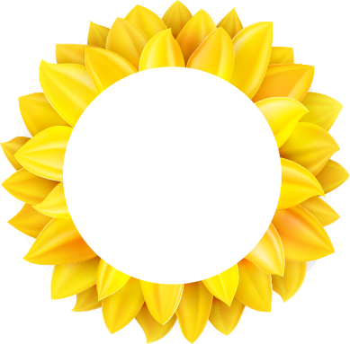 6 - Sunflower (389x383)