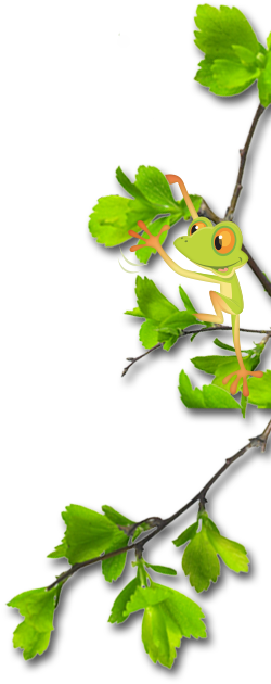 Frog (356x629)