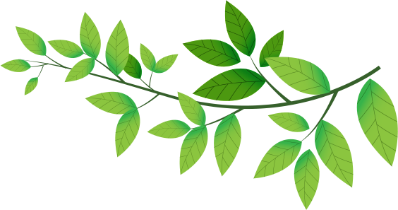 Word Became Flesh: Studies In The Gospel Of John (564x297)