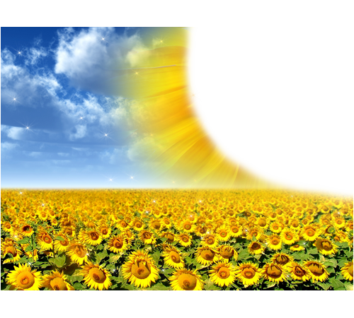 Free Icons Png - Puzzled Nieuport 17 Wooden 3d Puzzle Construction Kit (500x450)