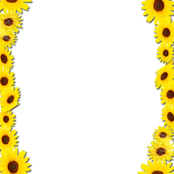 Common Sunflower Borders And Frames Picture Frames - Yellow Flowers Frame Png (600x600)