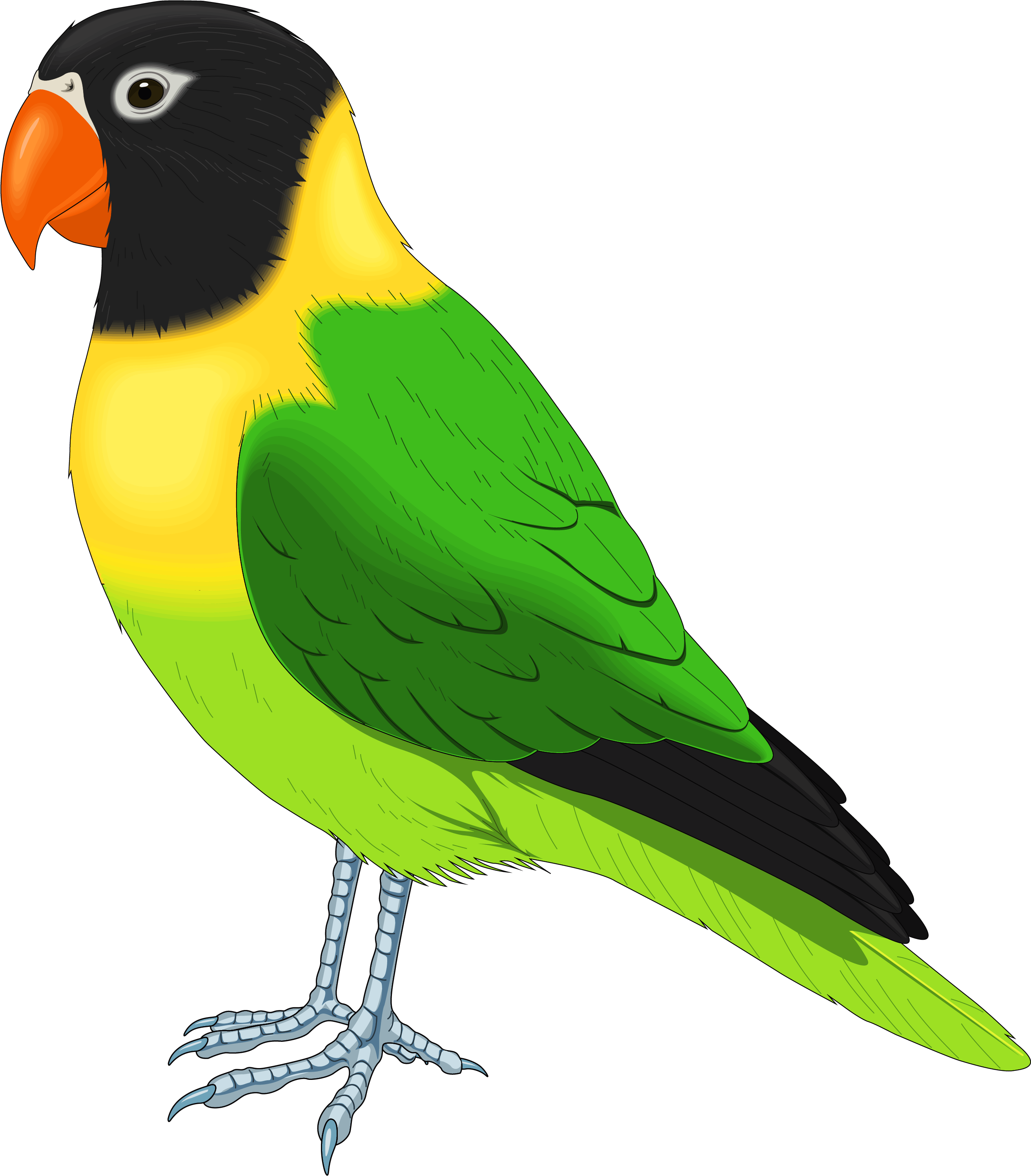 Bird Cartoon Singing Clip 10906 Clip Art Green - Parrot Bird Clipart (2725x3120)