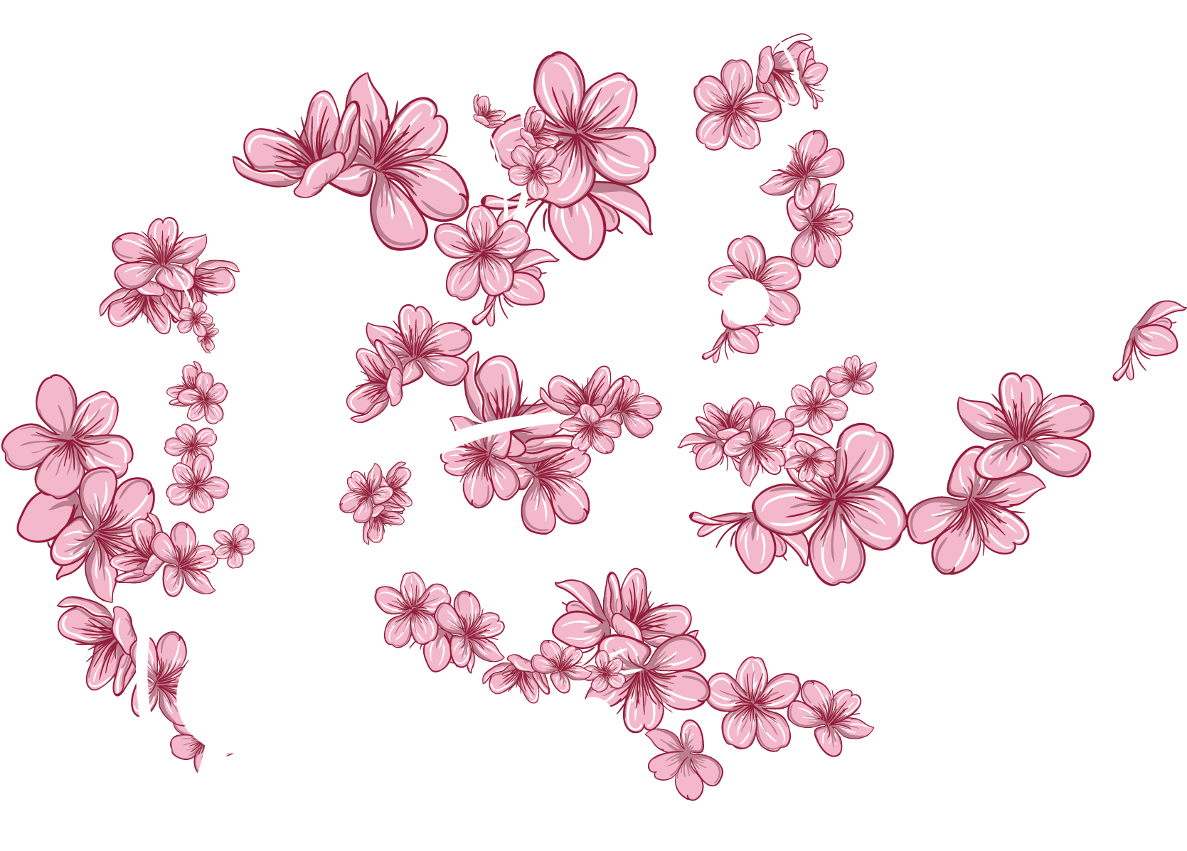 Floral Design Petal Cherry Blossom Flower Pattern Vector - Floral Design Petal Cherry Blossom Flower Pattern Vector (1875x1875)
