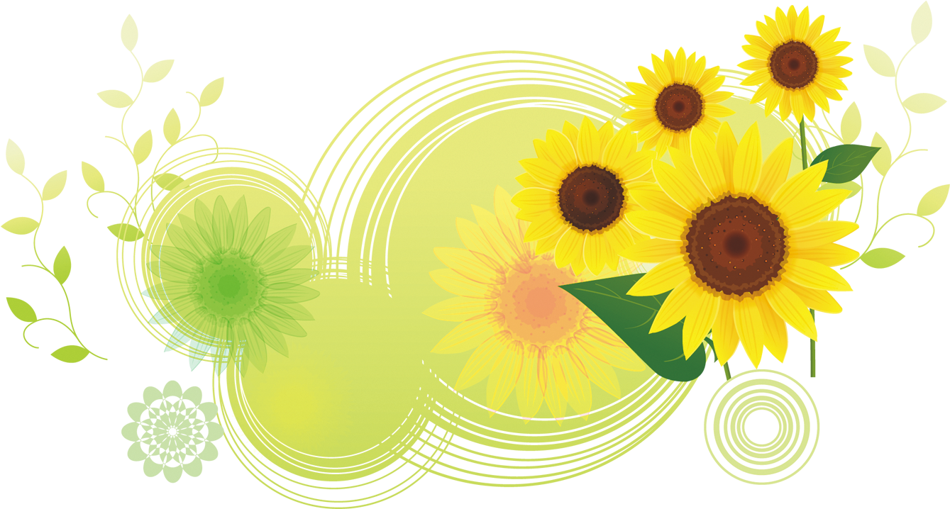 Download Common Sunflower Illustration - Flower Patterns (1559x1043)
