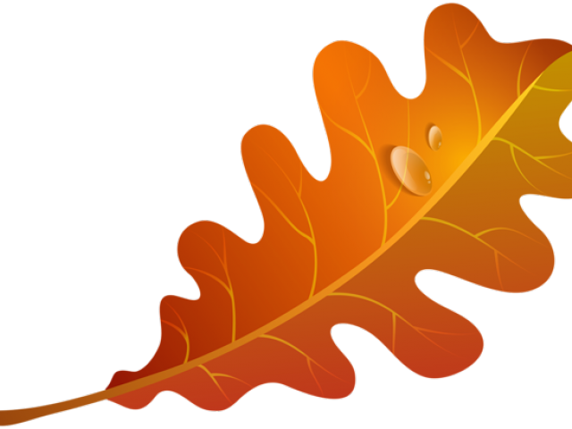 Autumn Leaves Clipart Orange Leaf - Orange Leaf Clipart (640x480)