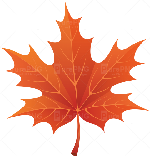 Red Autumn Leaf Clipart Png Image - Autumn Leaf Clip Art (480x498)