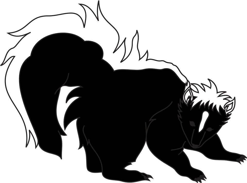 Black Panther Clipart 23, Buy Clip Art - Clipart Black And White Skunk (960x713)