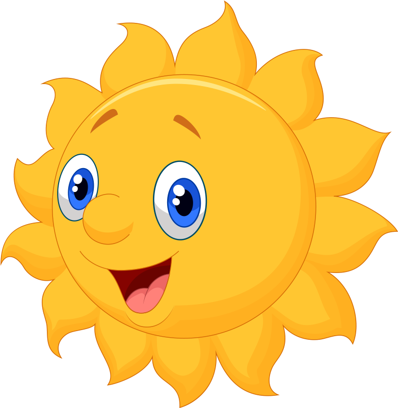 Common Sunflower Cartoon Euclidean Vector Clip Art - Common Sunflower Cartoon Euclidean Vector Clip Art (800x800)