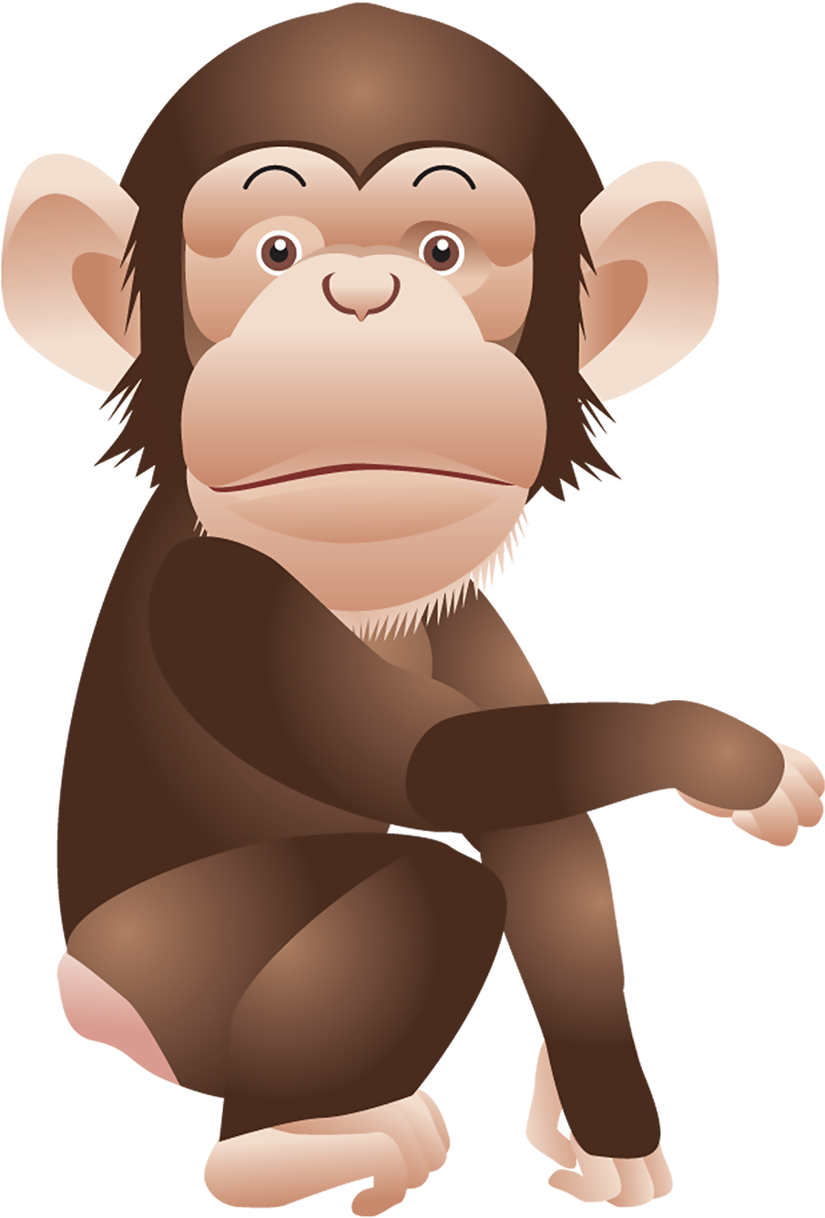 Monkey Png Clipart Picture - Monkey Png Clip Art (1000x1407)