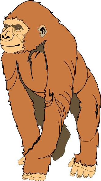 Monkey Clipart - Ape Clipart (330x591)