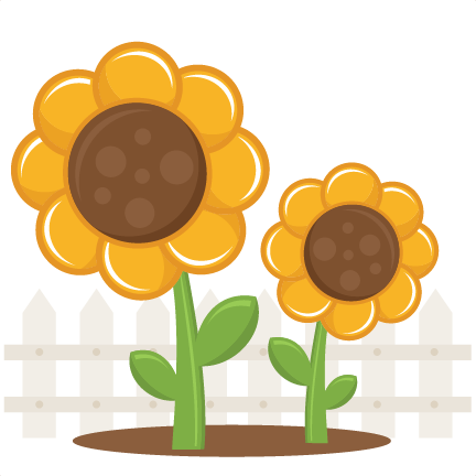 Sunflowers Svg Scrapbook Title Sunflower Svg File Sun - Cute Sunflowers Png (432x432)