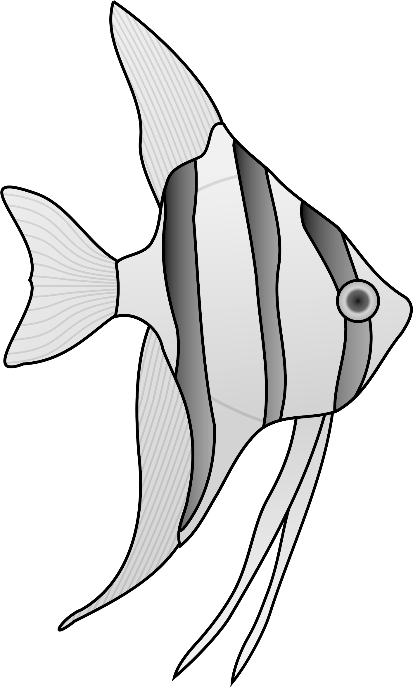 Angel Fish Cliparts Clip Art Library - Salt Water Fish Drawing (1600x2400)