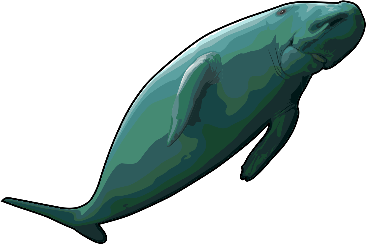 Free Whale Clipart Black And White - Stellers Sea Cow Clipart (1301x934)
