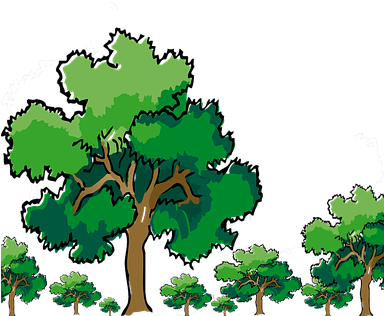 Trees, Oak, Nature, Green, Branch, Wood - Oak Tree Clip Art (383x340)