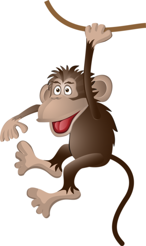 Pic Monkeyfunny - Monkey 2016 Png (296x500)