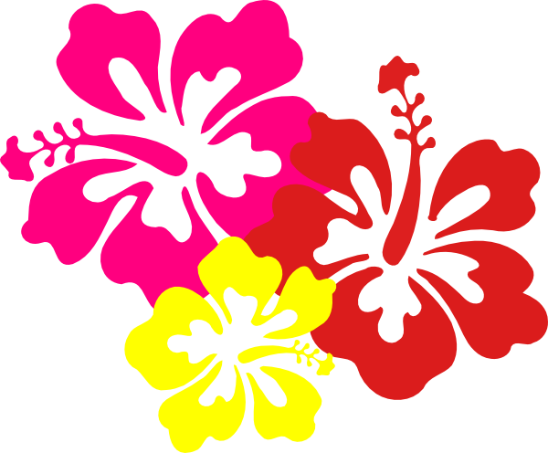 Flowers For > Blue Hawaiian - Hibiscus Clip Art (600x496)