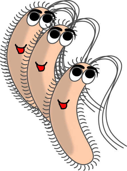 Bacteria Clipart Funny - Bacterias Clip Art (444x594)
