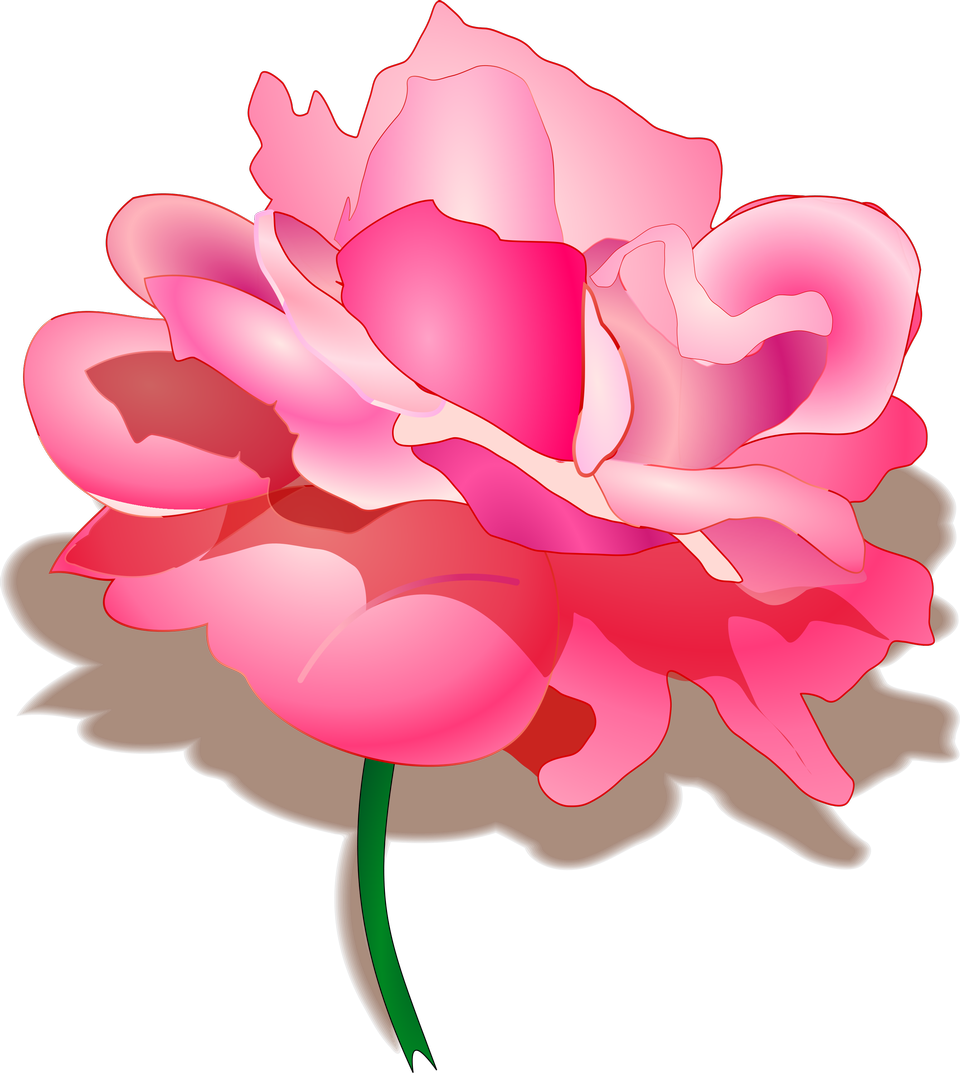 Pink Flower Clipart Flower Transparent Background - Pink Rose Illustration Png (960x1073)