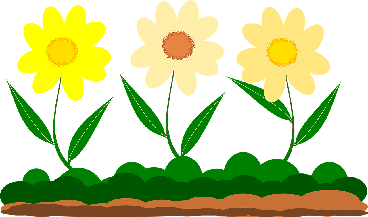 Sunflower Cartoon Cliparts 27, Buy Clip Art - Vektor Bunga Taman Png (1280x756)