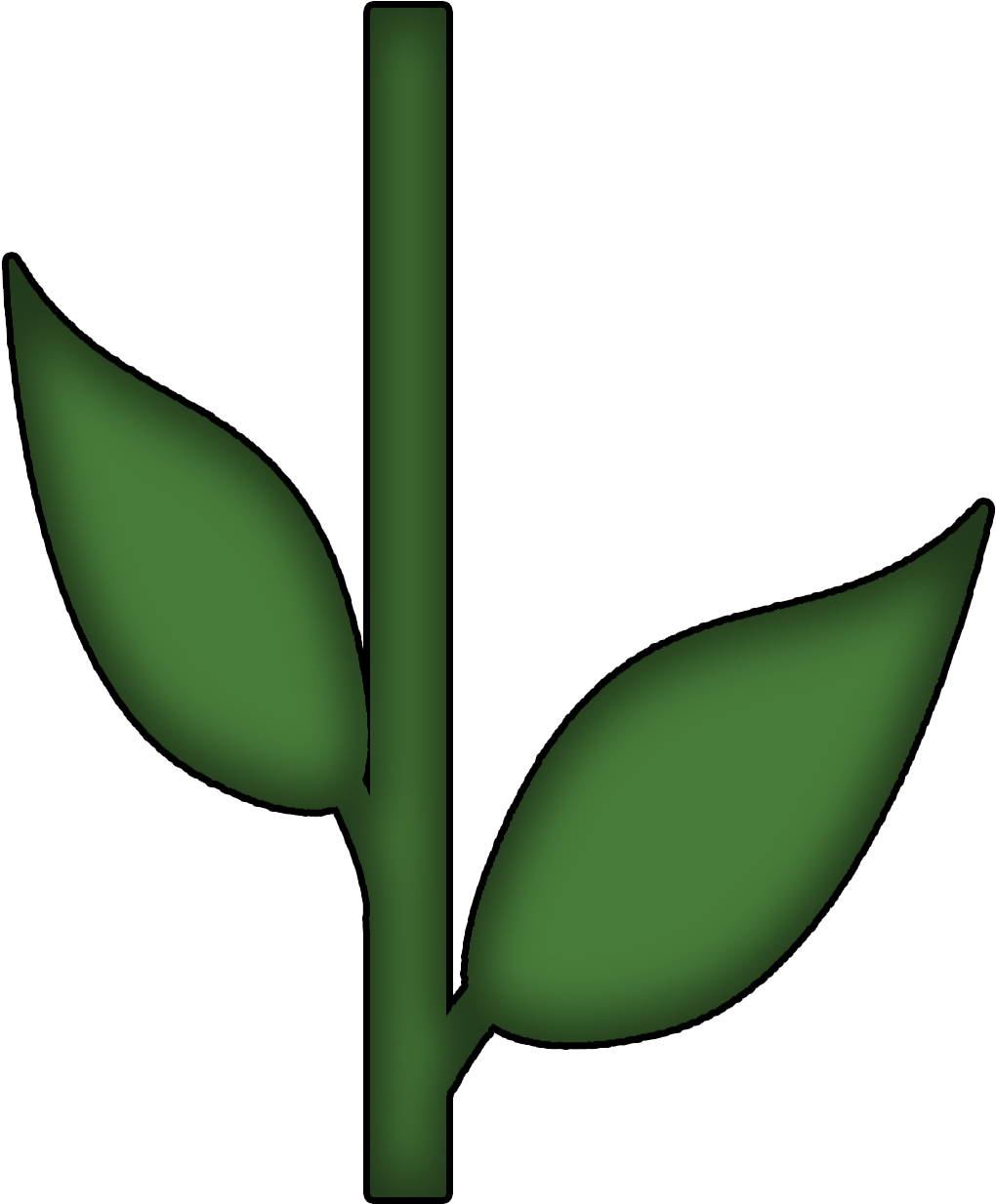 Flower Stem And Leaf (1074x1314)