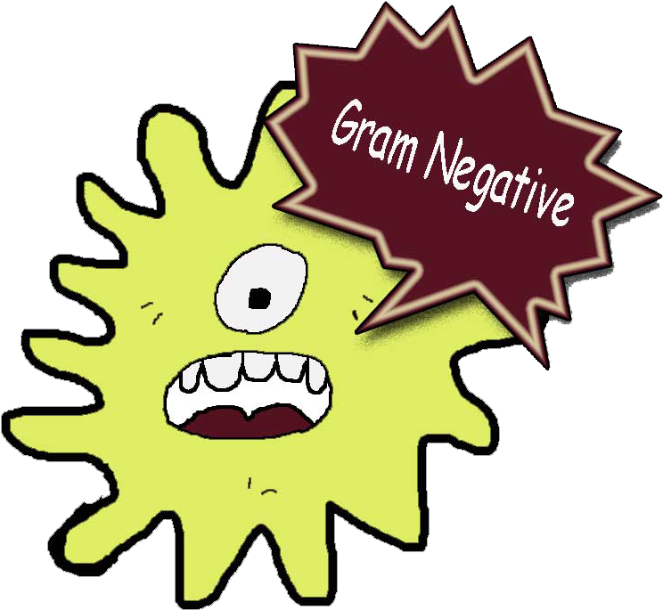 Bacteria Clipart Strong - Gram Negative Bacteria Clipart (786x705)