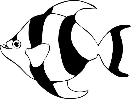 Tropical Fish Clip Art Black And White - Custom Yellow Tropical Fish Shower Curtain (640x480)