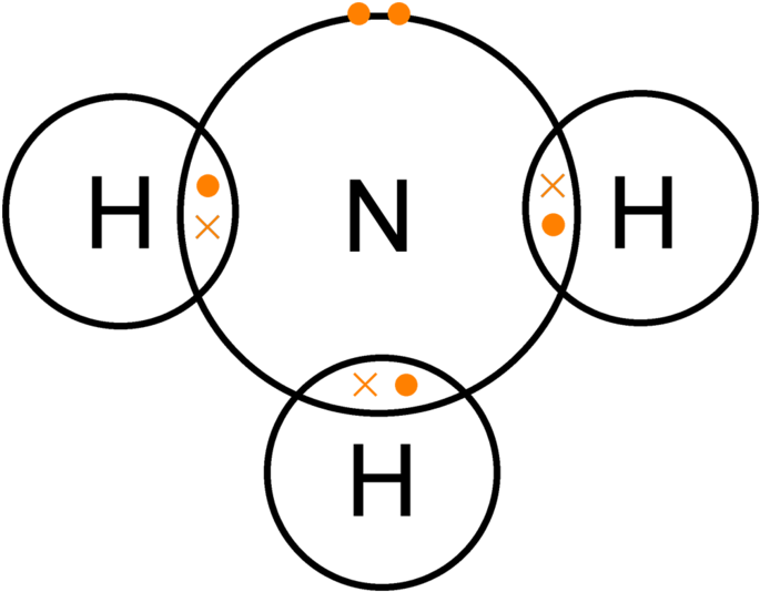 The Nitrifying Bacteria Cause What Is Commonly Called - Dot And Cross Diagram Of Nh3 (750x599)