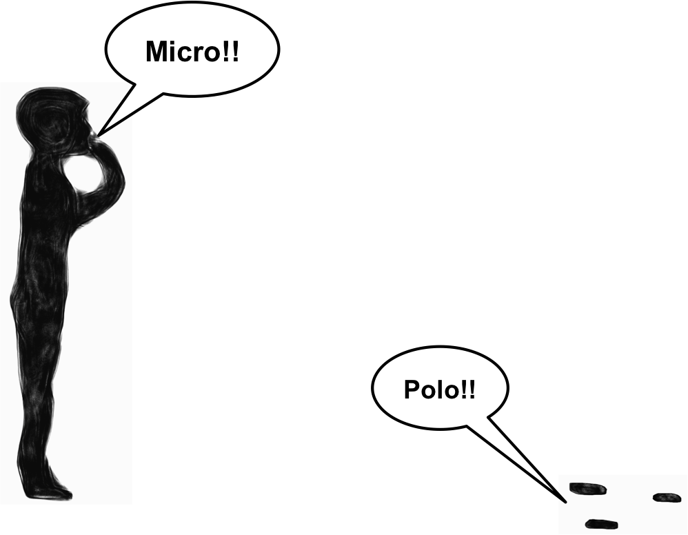 Micro Polo, Discovering The Beneficial Bacteria That - Cartoon (998x776)