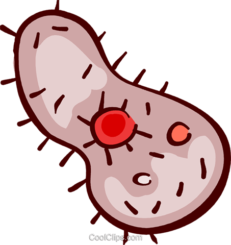 Some Raw Foods Contain Dangerous Bacteria And Microorganisms - Microorganisms Vector Png (453x480)