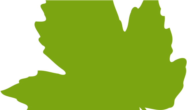 Leaves Clipart Pics - Green Leaf Clip Art (678x381)